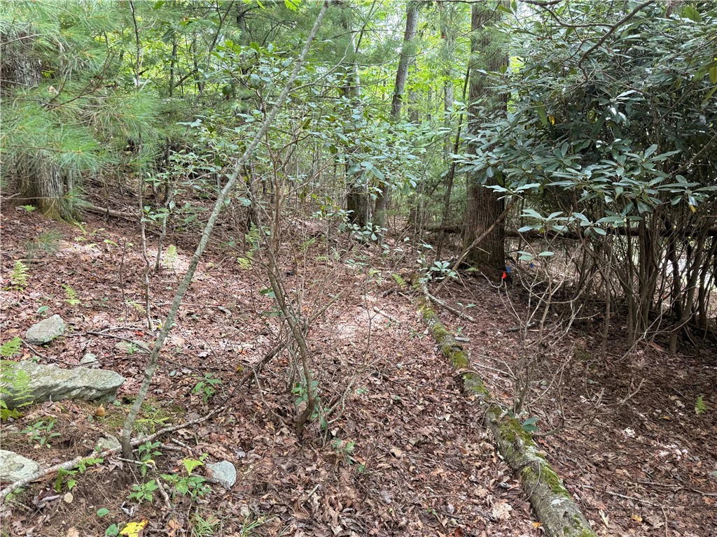 Image number 18 for the current listing