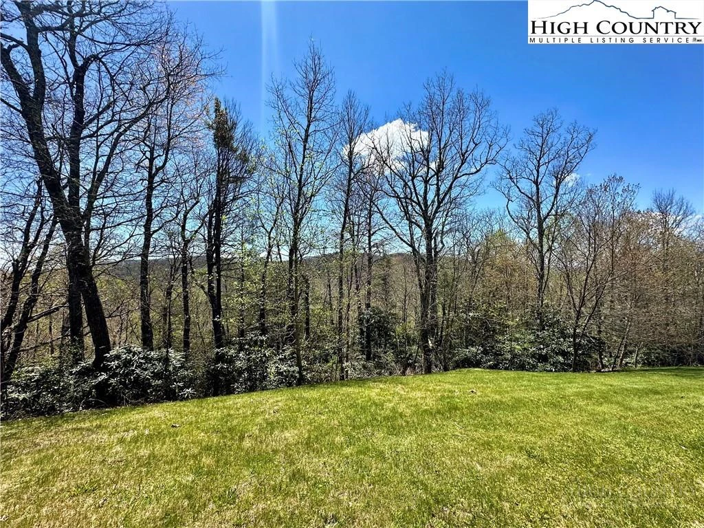 Image number 4 for the current listing