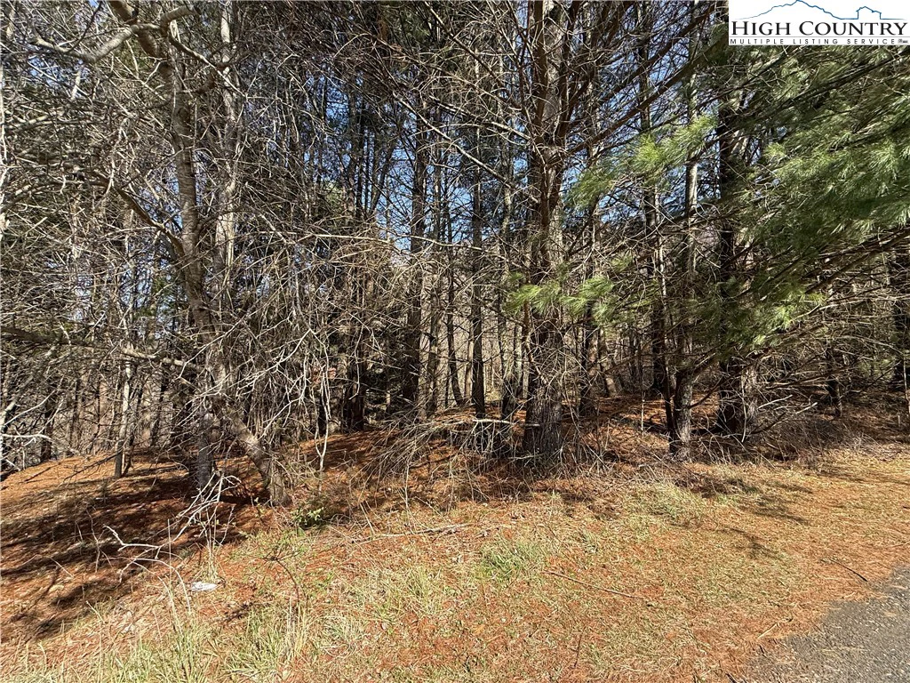 Image number 18 for the current listing