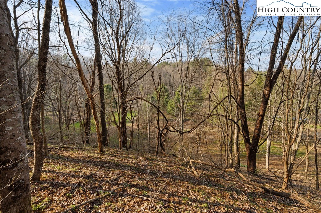 Image number 9 for the current listing