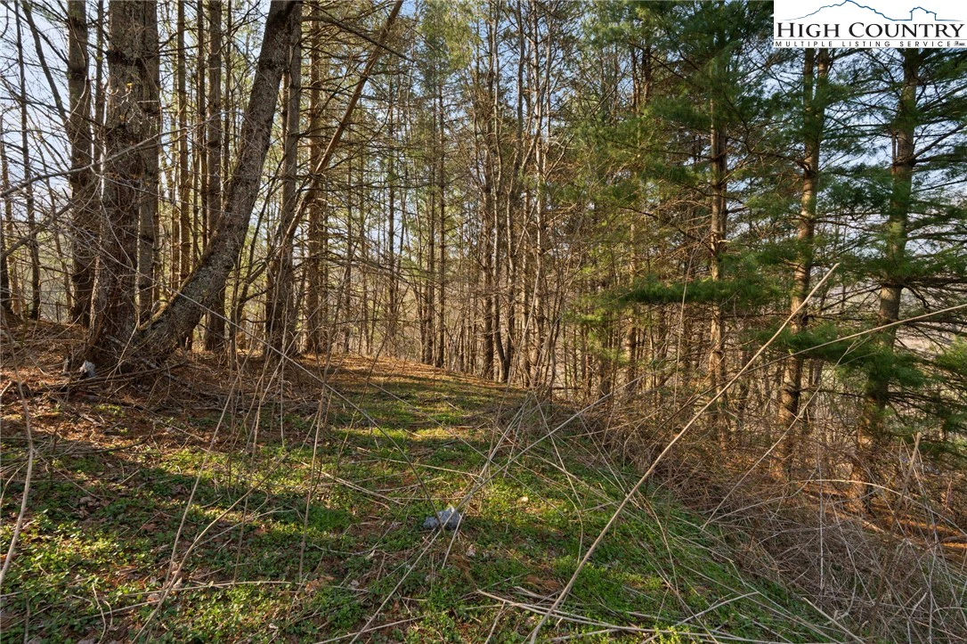 Image number 2 for the current listing
