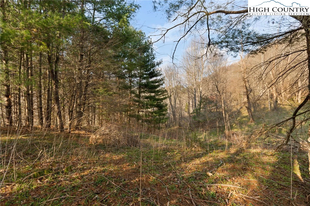 Image number 7 for the current listing