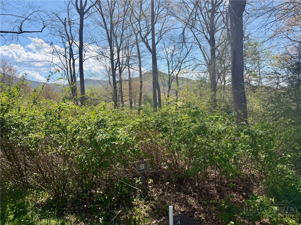 Image number 1 for the current listing