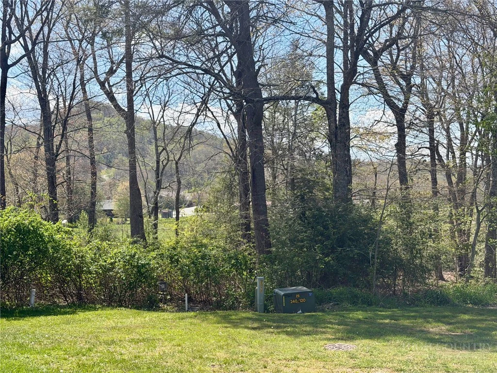 Image number 3 for the current listing