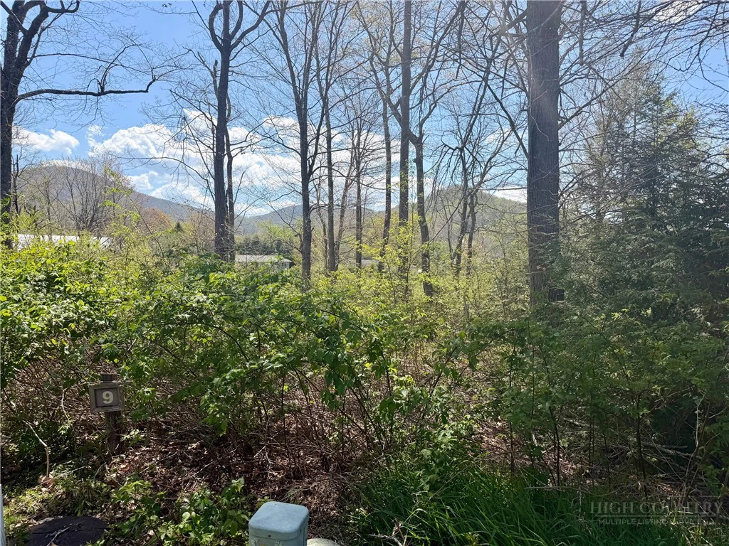 Image number 6 for the current listing