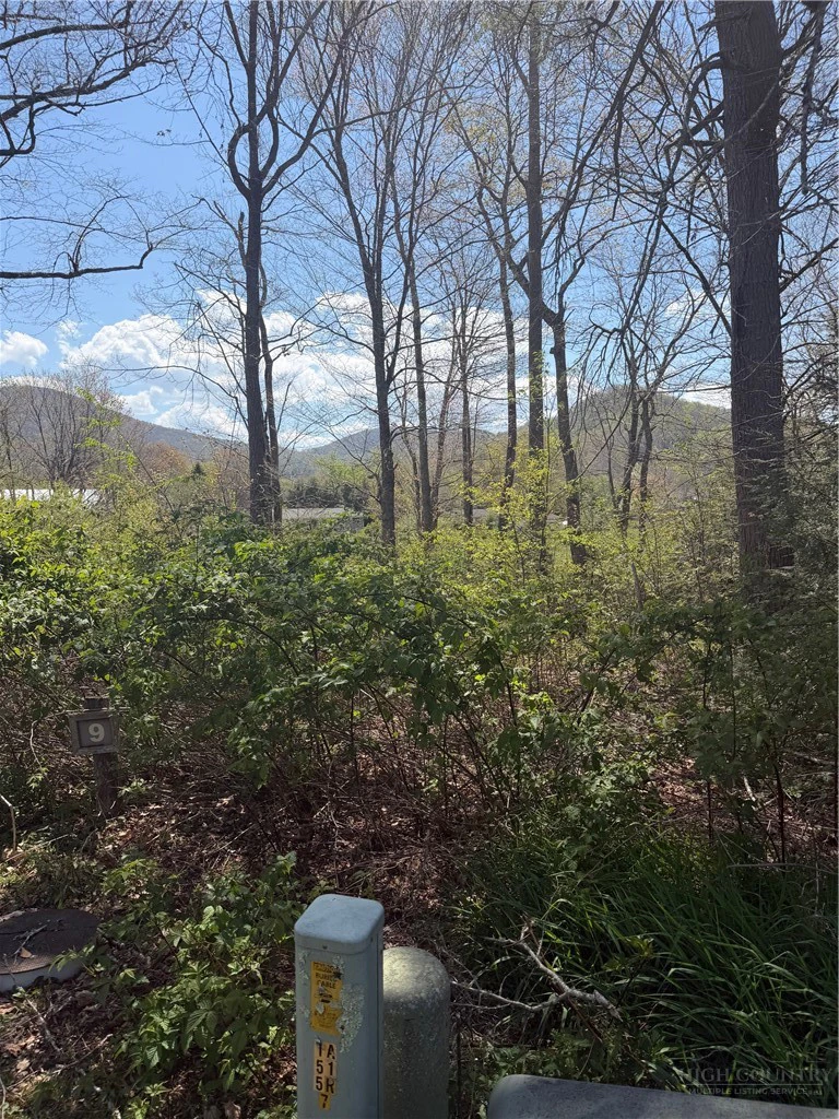 Image number 7 for the current listing