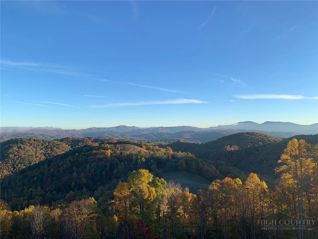 Image number 1 for the current listing