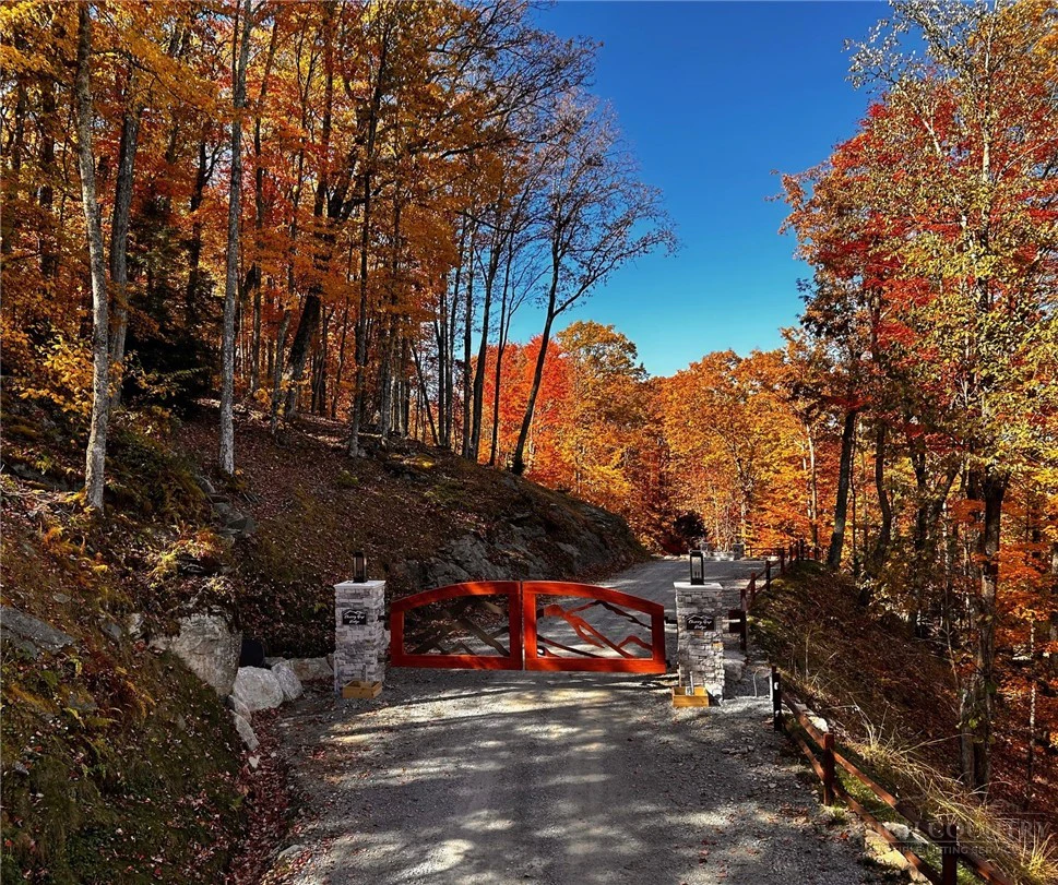 Image number 3 for the current listing