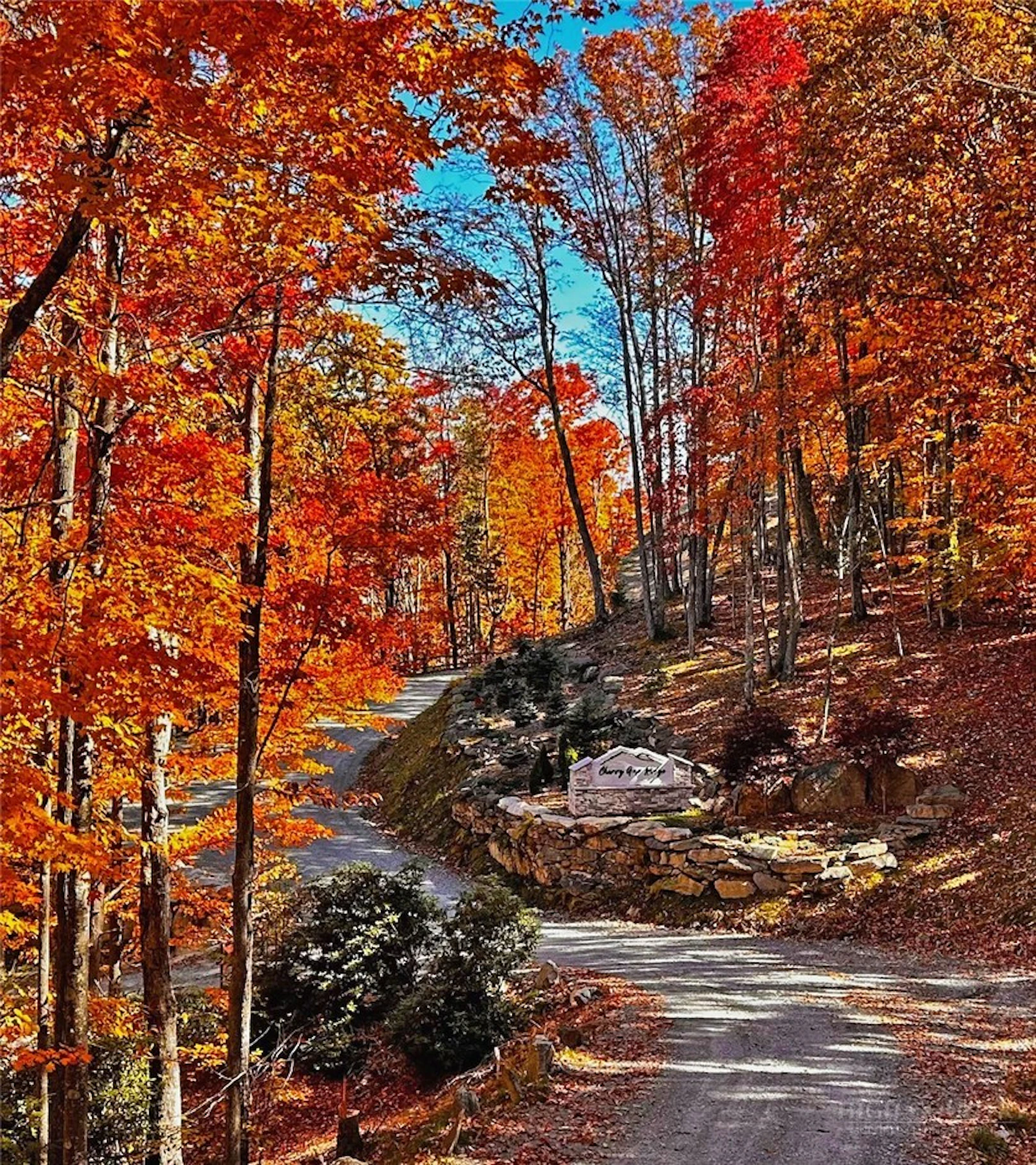 Image number 6 for the current listing
