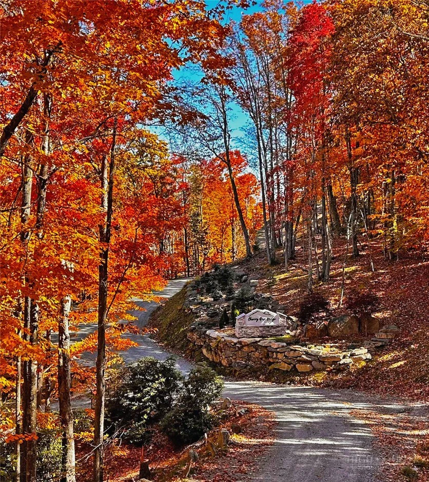 Image number 6 for the current listing