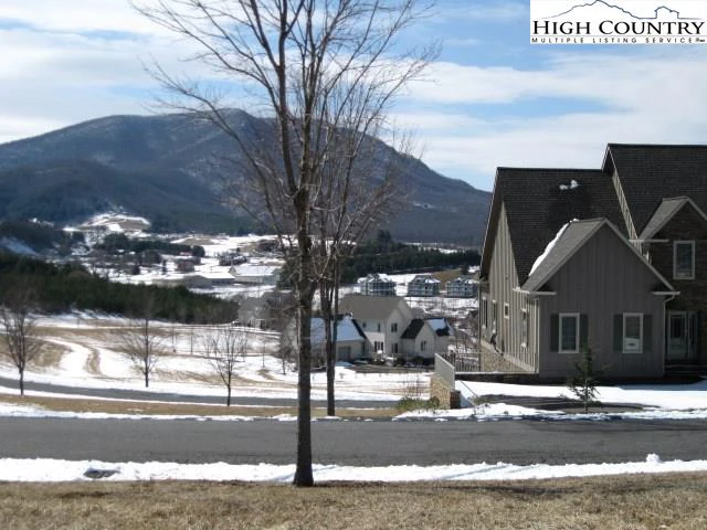Image number 1 for the current listing
