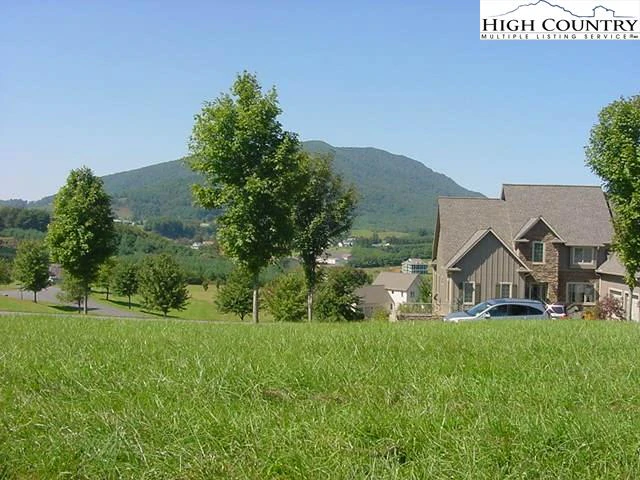 Image number 3 for the current listing