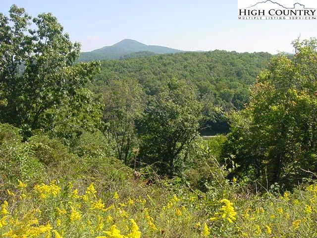 Image number 4 for the current listing