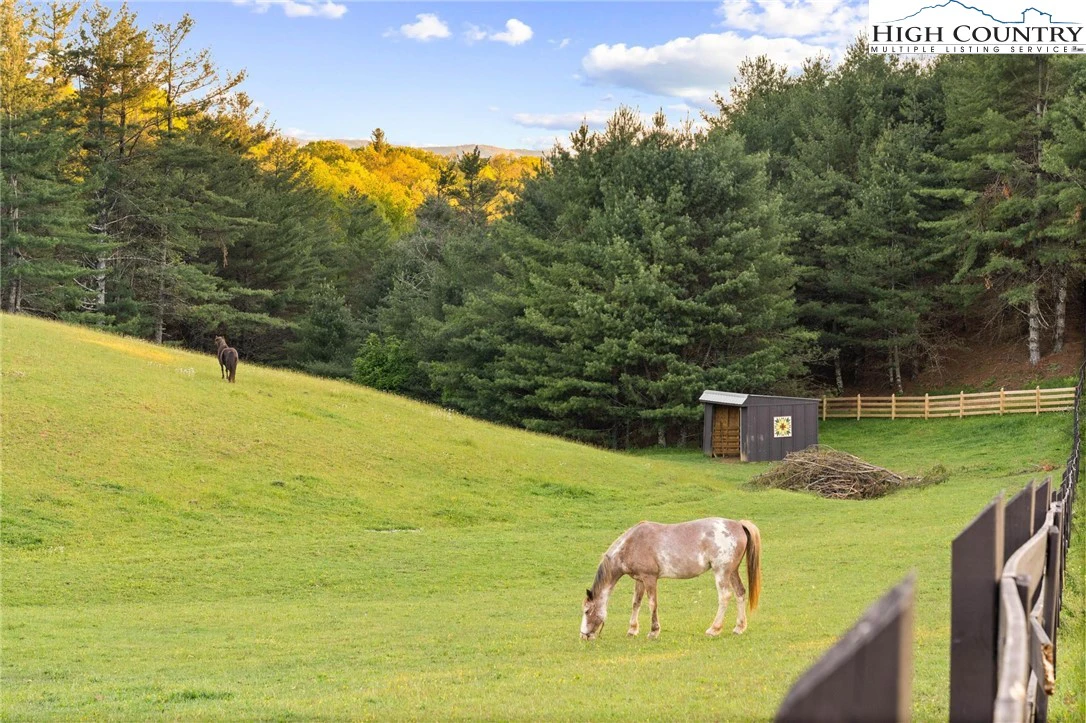 Image number 2 for the current listing