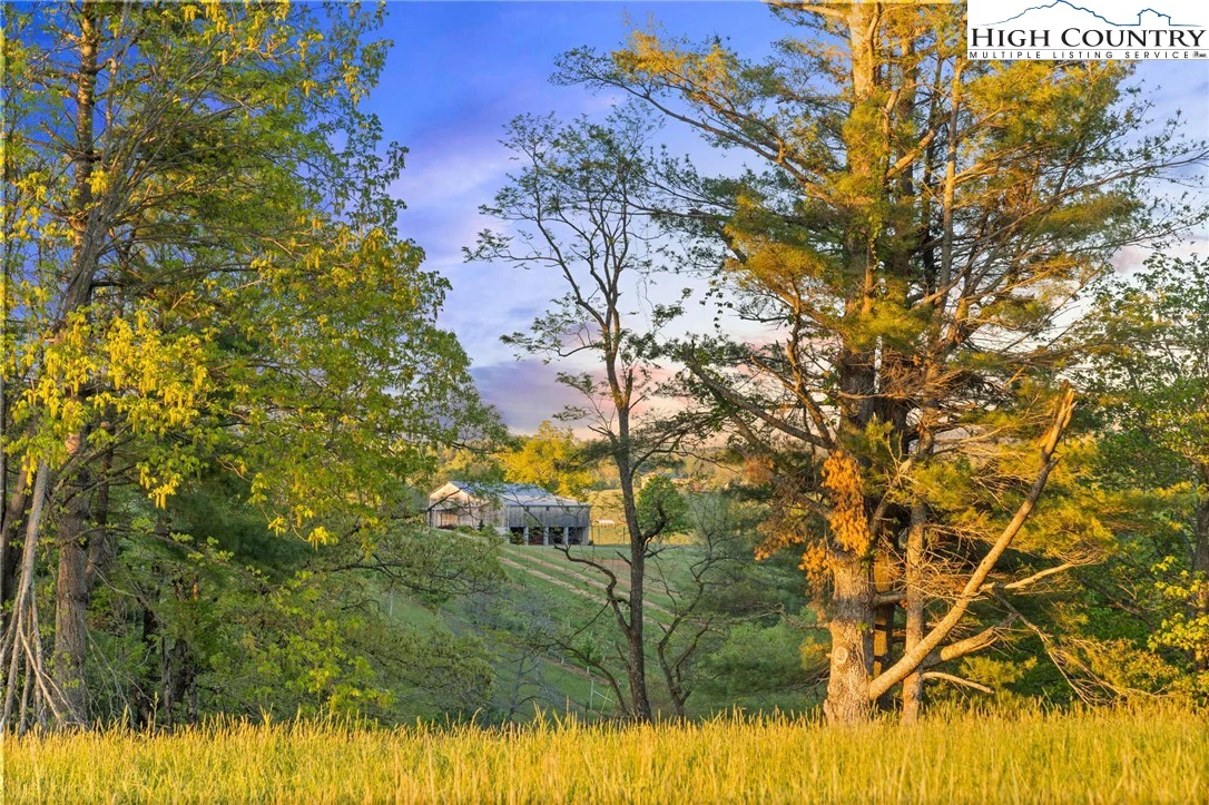 Image number 11 for the current listing