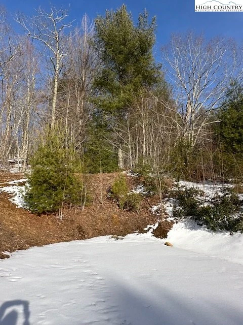 Image number 19 for the current listing