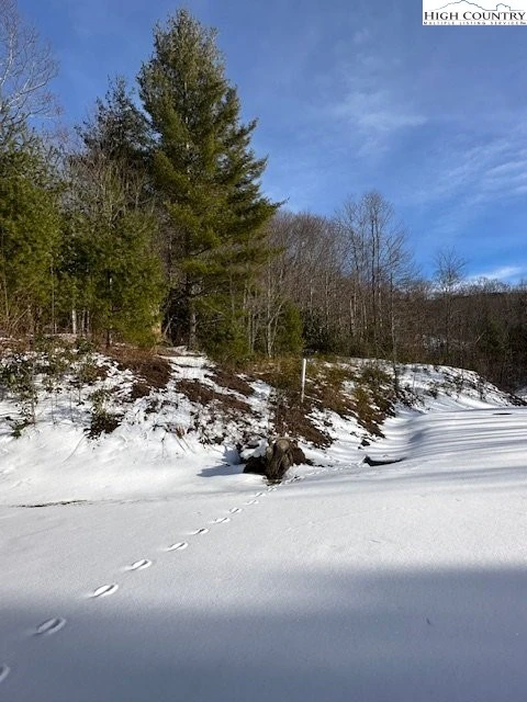 Image number 16 for the current listing