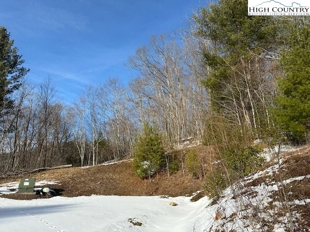 Image number 15 for the current listing
