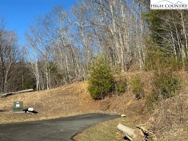 Image number 2 for the current listing