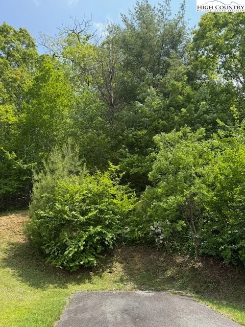 Image number 11 for the current listing