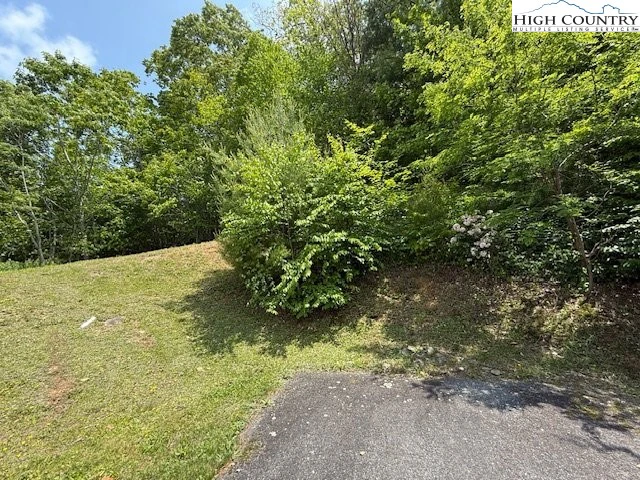 Image number 10 for the current listing