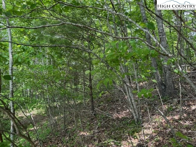 Image number 9 for the current listing