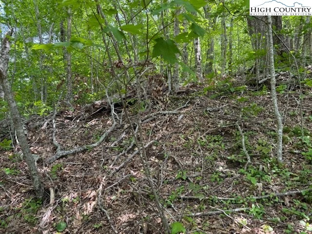 Image number 8 for the current listing