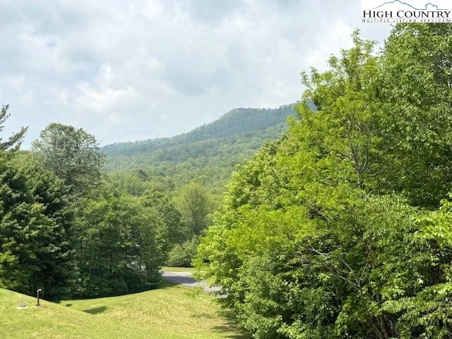 Image number 7 for the current listing