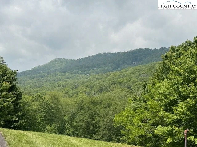 Image number 6 for the current listing