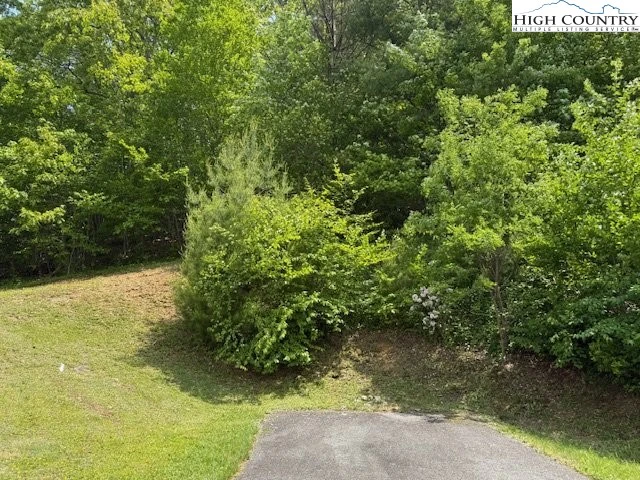 Image number 5 for the current listing