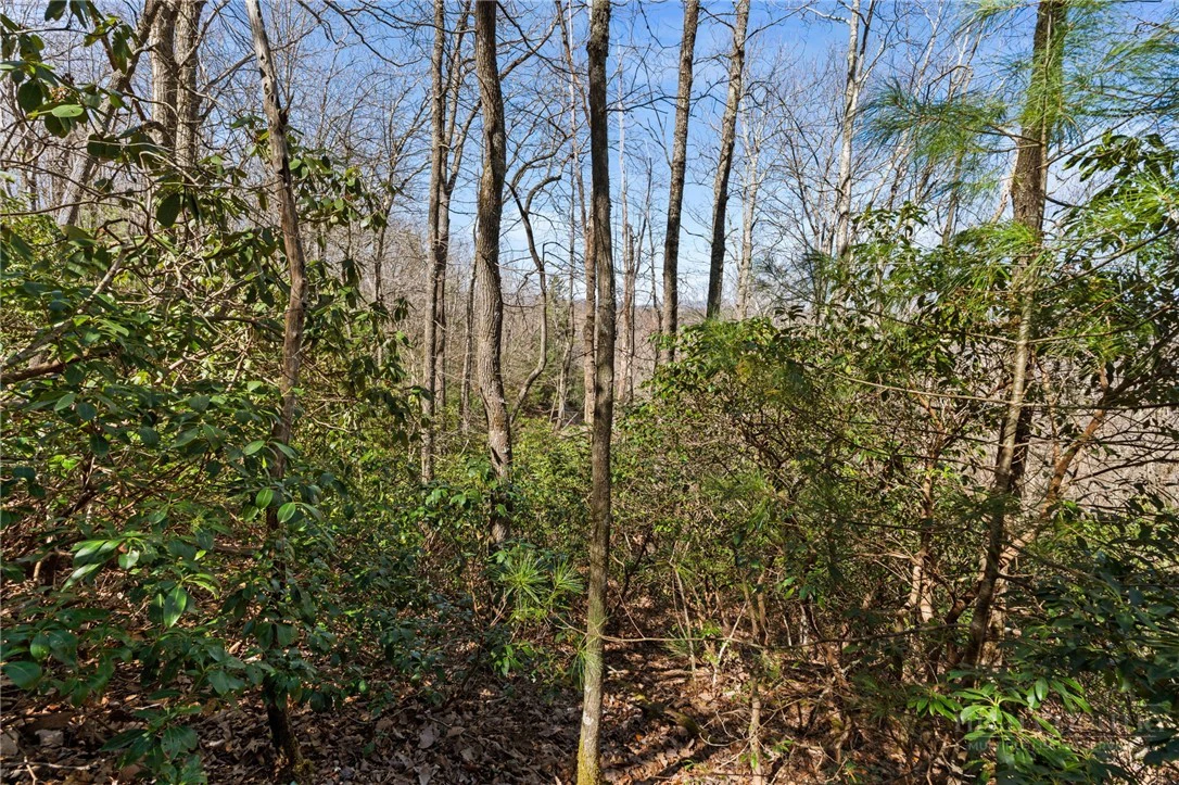 Image number 9 for the current listing
