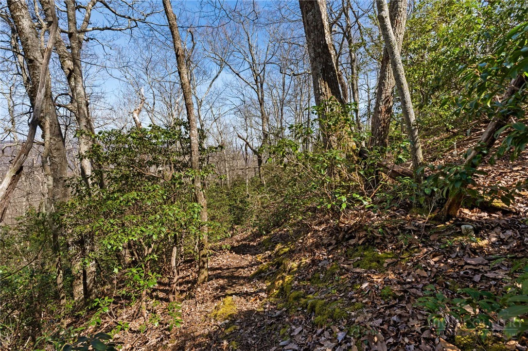 Image number 10 for the current listing