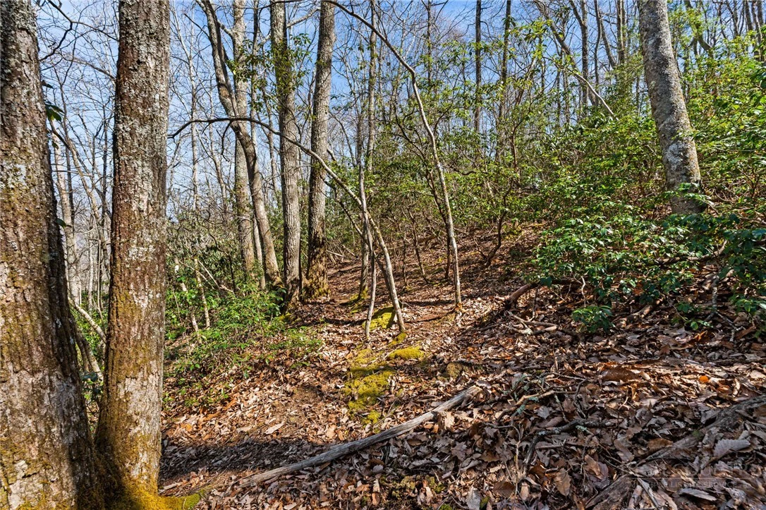 Image number 13 for the current listing