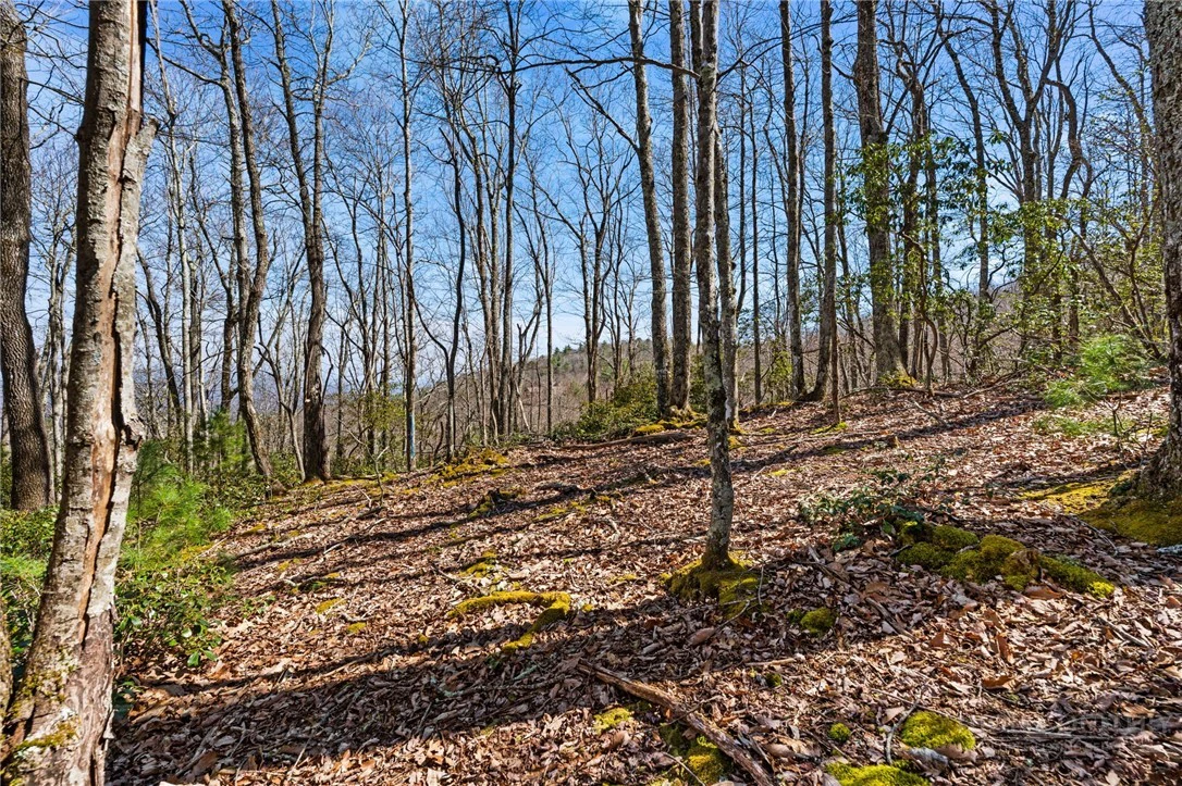 Image number 11 for the current listing