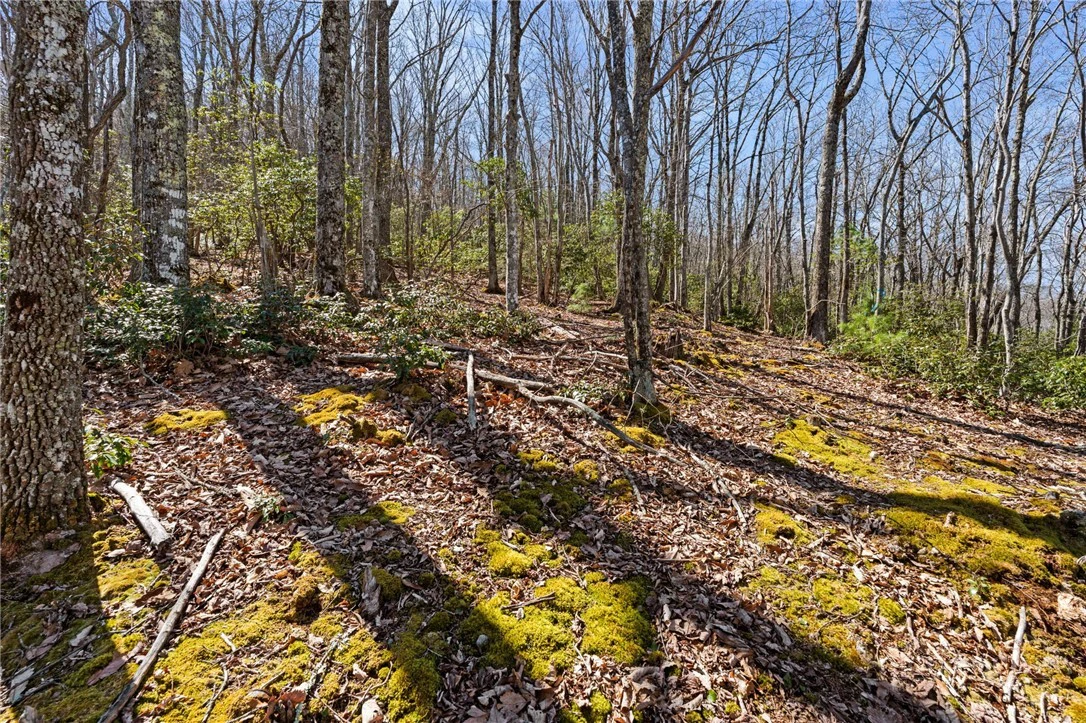 Image number 14 for the current listing