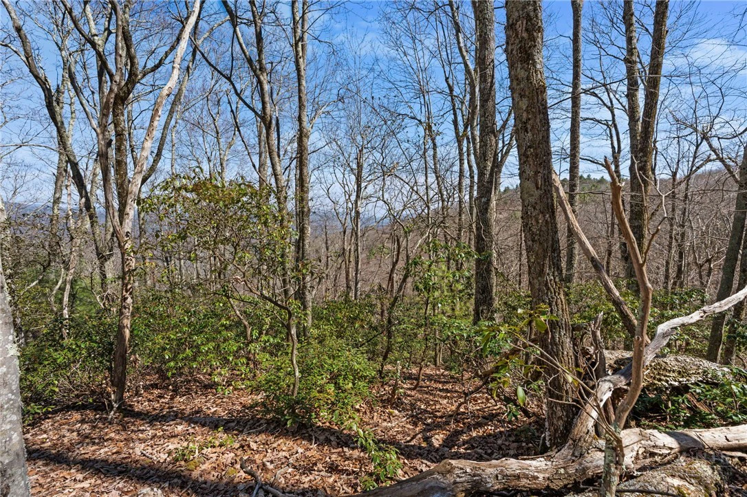 Image number 8 for the current listing