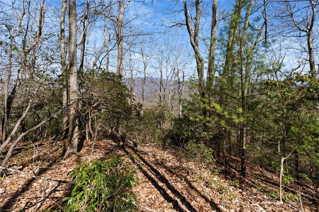 Image number 7 for the current listing