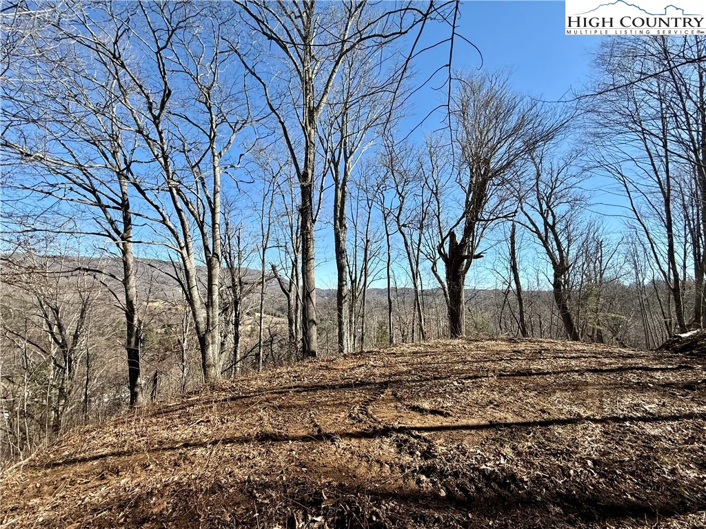 Image number 1 for the current listing
