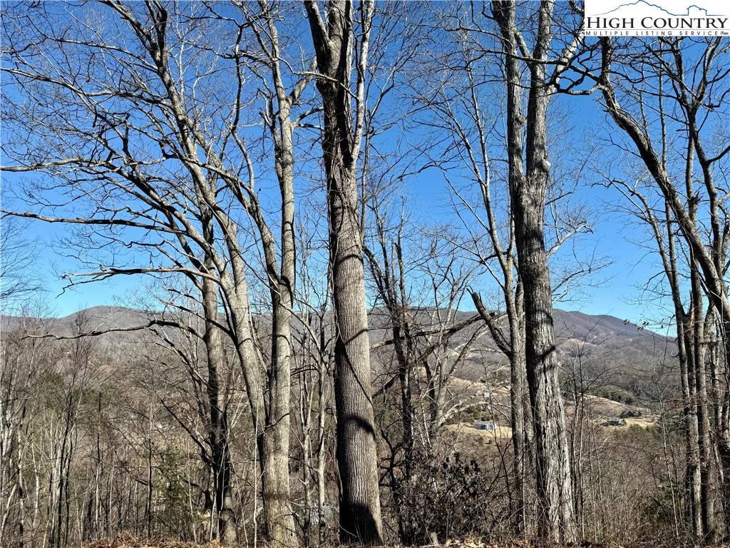 Image number 3 for the current listing