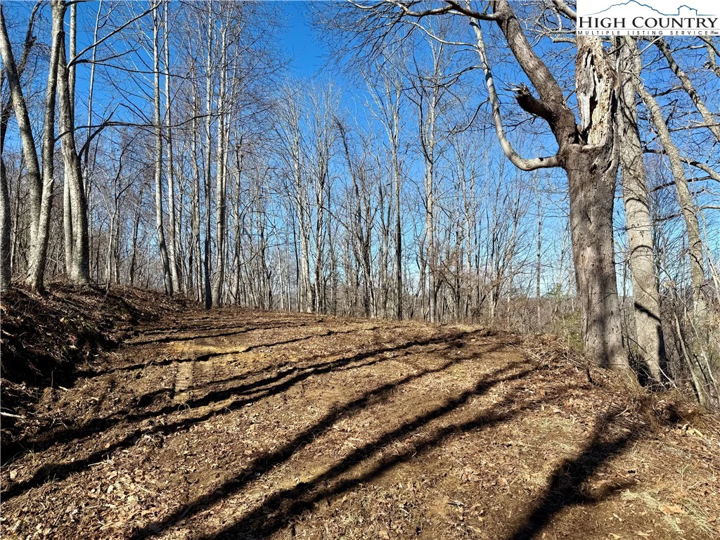 Image number 5 for the current listing