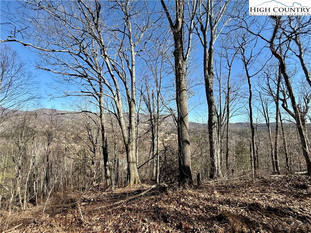Image number 7 for the current listing