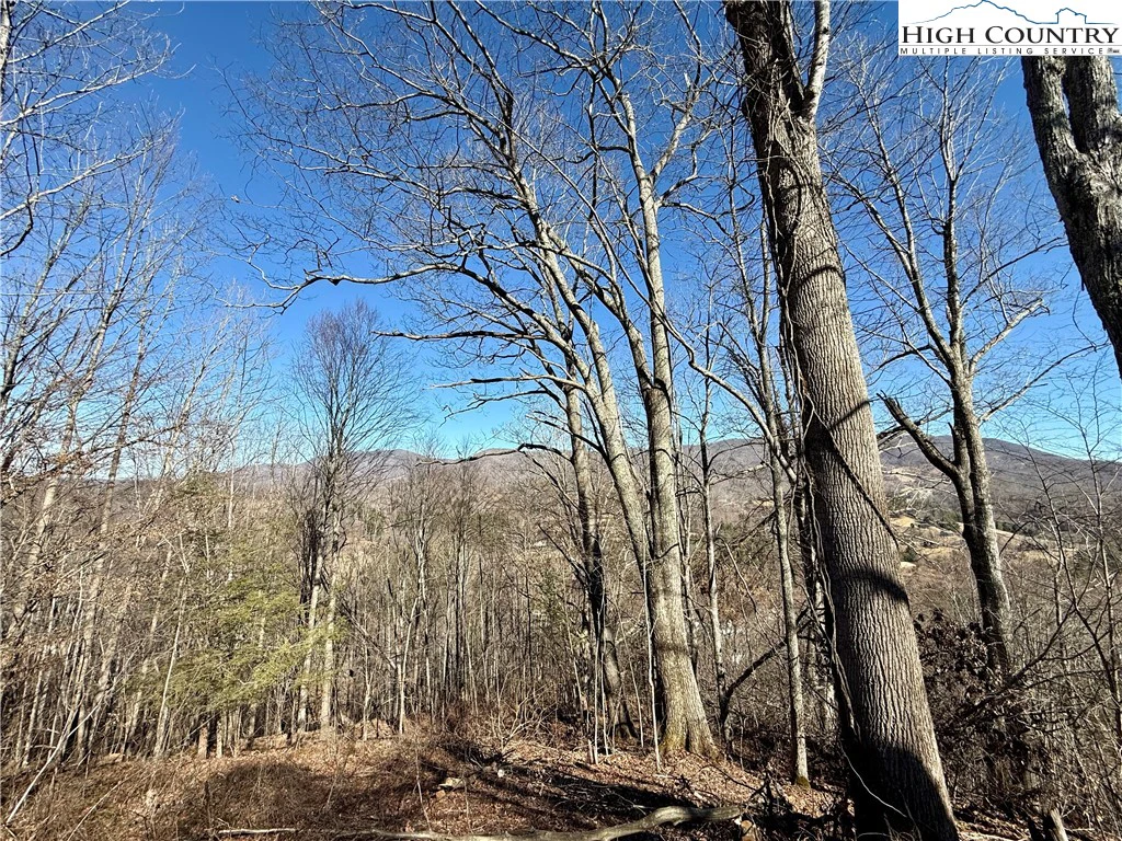 Image number 8 for the current listing