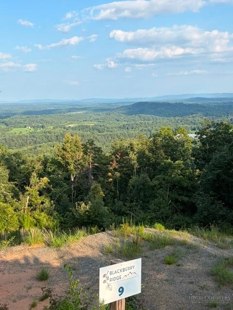 Image number 1 for the current listing