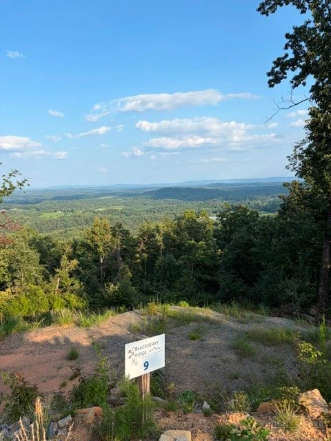 Image number 2 for the current listing