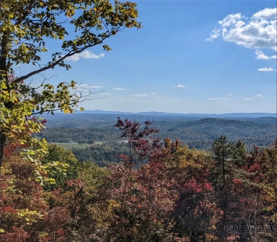 Image number 3 for the current listing