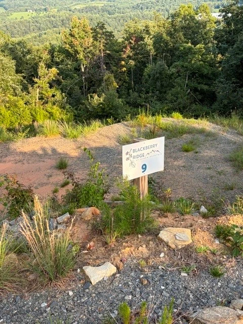 Image number 5 for the current listing