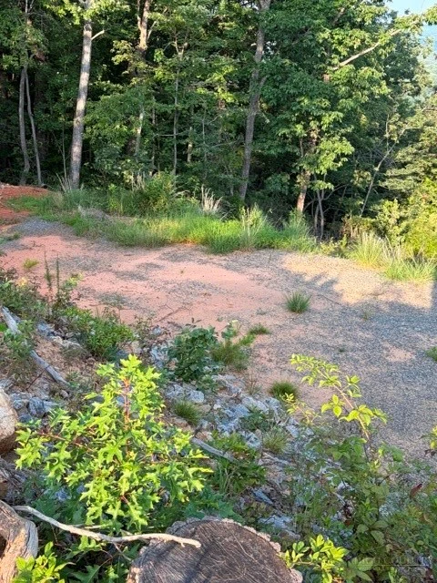 Image number 6 for the current listing