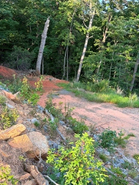 Image number 7 for the current listing