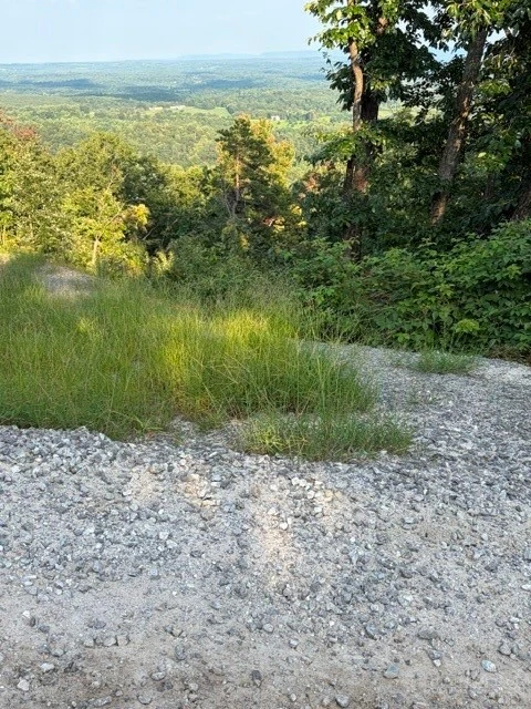 Image number 8 for the current listing