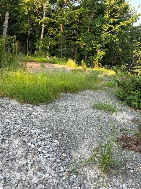 Image number 9 for the current listing